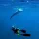 Image for article titled The beautiful and surreal sensuality of Sarah Lee's underwater photos